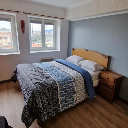 Studio A Proximite De La Gare Saint-Etienne (Loire)